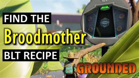 broodmother grounded recipe